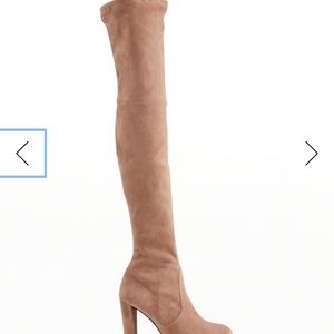 Looking for this in a size 5 .